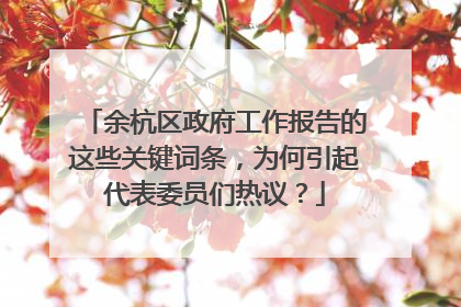 余杭区政府工作报告的这些关键词条，为何引起代表委员们热议？
